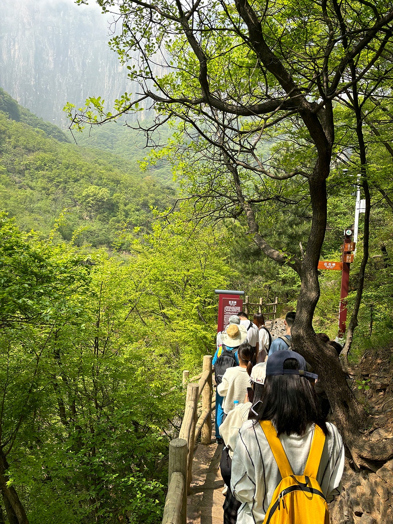 景區(qū)員工游覽